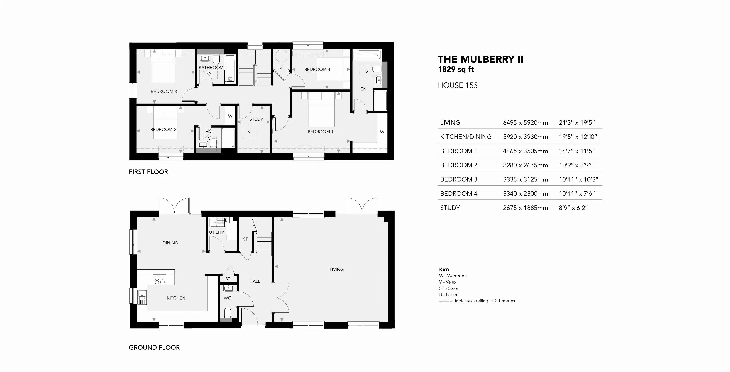 The Mulberry II